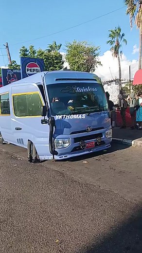 Stainless Left Dem Brainless: A Jamaican TikTok Experience