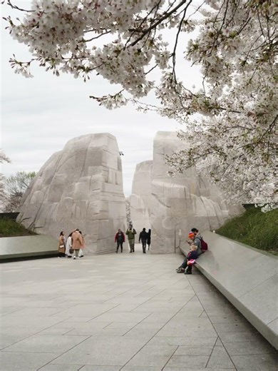 The Most Powerful Memorial in Washington DC 🇺🇸 #MLKMemorial#WashingtonDC #CherryBlossomsDC