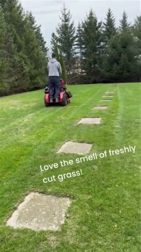 One of the first mows for our brand new toro 32" ride on mower