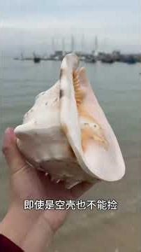 海边寻宝大揭秘：你错过了哪些宝藏