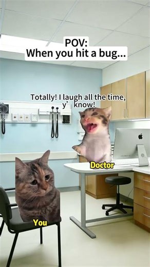 Cat Memes 🐱 When You Hit A Bug #catmemes #catmeme