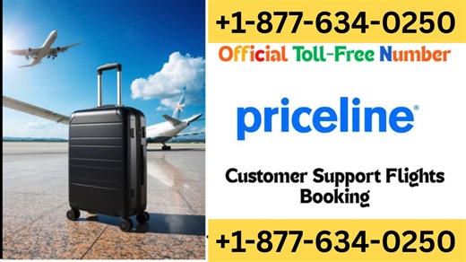 Priceline™® Customer Service Official Guide || 24-7 Live Support & Quick Help