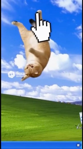 Cat Jumps Into a Computer Screen 💻 #cat #animals #magic