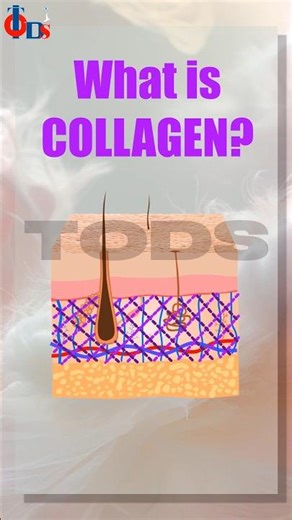 What Is Collagen? The Protein Behind your Youthful Skin