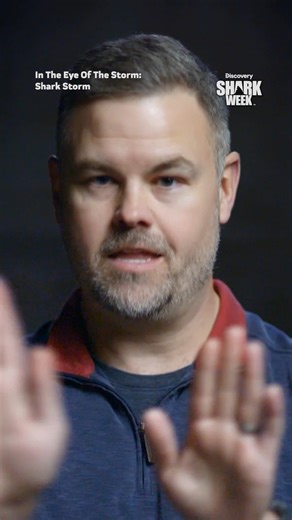 Shark Week on Instagram: "Shark attacks surged along the Gulf Coast in summer 2024, and it was all caught on camera 📸 Don't miss In The Eye Of The Storm: Shark Storm when #SharkWeek begins this Sunday on @discovery."