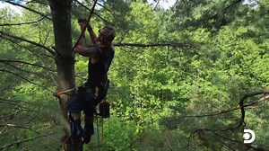 300K views · 8.7K reactions | Well, that’s one way to cut down a tree 望 Watch a new #Moonshiners tonight at 8p ET on Discovery. | Moonshiners | Facebook