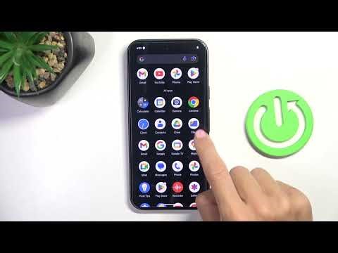 How to Check Serial Number on GOOGLE Pixel 9