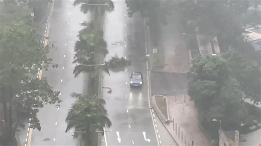 Strong winds and rain in Hong Kong as Tropical Storm Tapah passes nearby