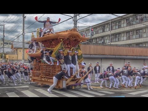 2026.9.20 高石市 富木(堺市 鳳地区) だんじり 試験曳き 町内曳行 やりまわし など