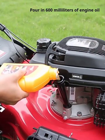 Self Propelled Gas Lawn Mower, 141cc Push Mower Gas Powered, 20" Blade, 4-Stroke Engine, Big Wheels, 50L Bag, Foldable Handle