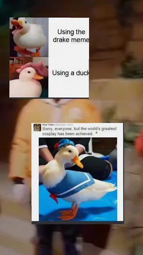 duckies #duck #cuteduck #DUCK