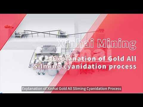 Explanation of Xinhai Gold All Sliming Cyanidation Process|3D Animation