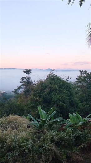 กัสดาฟี่ ใหม่โม่ง on Instagram: "มอนิ่งครัฟบรรยากาศตอนเช้าครัฟ #ไฮไลท์ #ผู้ติดตาม #กัสดาฟี่ @ไฮไลท์"