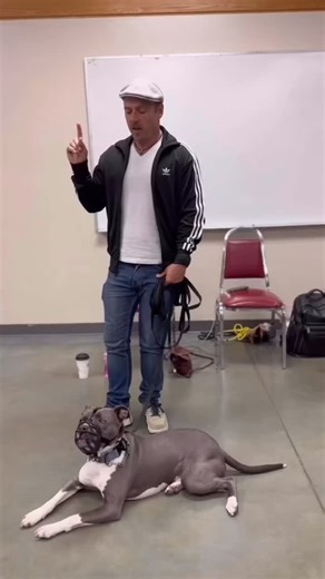 The Good Dog (Sean O’Shea) on Instagram: "The uncomfortable truth about dogs who redirect (bite owners/handlers) on walks… There’s been a very convincing narrative put forward regarding dogs who bite their owners/handlers on walks: primarily that they can’t help themselves. They’re too aroused, they’re too frustrated, they’re too fearful, they’re too dog aggressive—they’re simply too far over threshold to know what they’re doing or to be able to inhibit the behavior. Which means, if they can’t h