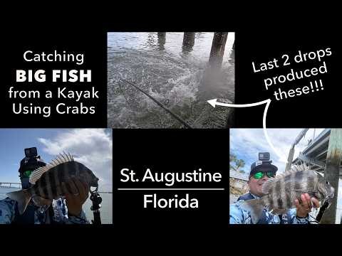 Catching BIG FISH from a Kayak in St. Augustine, FL -- Sheepshead + Red Drum