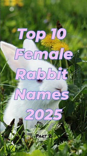Top 10 Female Rabbit Names 2025 (Part 2) 🐇✨ | Unique Bunny Names! #shorts #rabbitnames #bunnypets