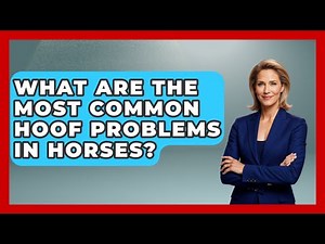 What Are The Most Common Hoof Problems In Horses? - The Horses Stable
