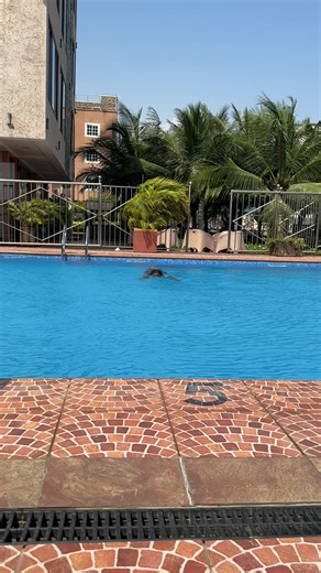"Dive into the week with a splash! 🌊💦 What's your favorite swimming ...