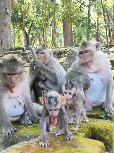 02-06-26 update newborn so hunger that get milk like this 047