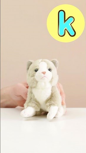 A-Z Teddies 🕷️🐆🐱 #abcd #kidssongs #kidsvideo #song #children #kids #toddlers #explore #abc #toys