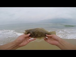 Surf fishing on Virginia Beach! (Virginia/SC Part 2)