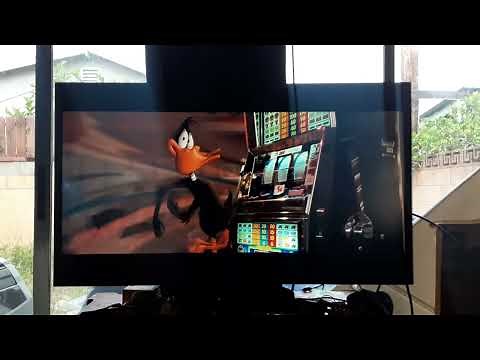 Looney Tunes: Back in Action (2003) 2004 DVD Closing