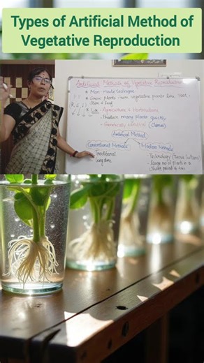 Types of Artificial Method of Vegetative Reproduction #class12botany #vegetativereproduction
