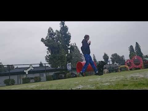 Reverse flash runing not edited