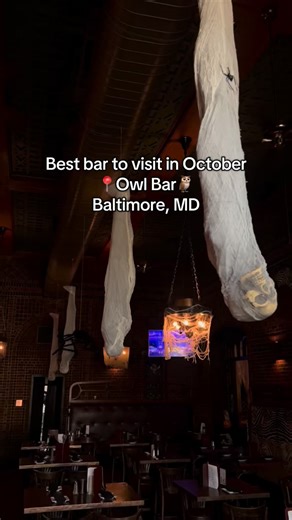 Just a few more weeks left to celebrate the Halloween spirit at the Owl Bar!🎃 Come in while the spooks last! 🎥 Every Friday - Horror Movie & Menu Pairing 📸 10/27 at 8 PM - Rocky Horror Picture Show 🚫 Closed for Private Events: All day on 10/30 and after 10 PM on 10/31. | The Owl Bar