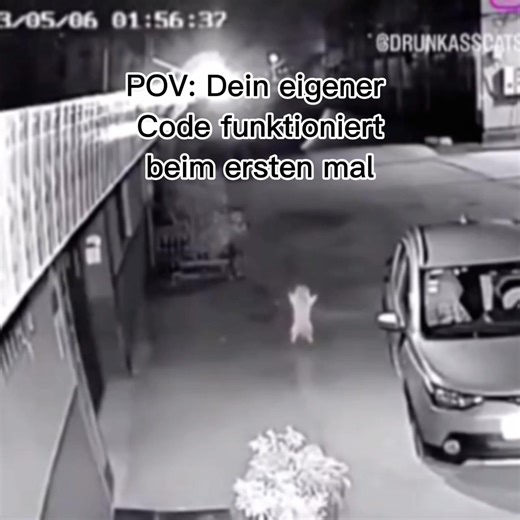 You can call me Professional Software developer 😎##MemeCut##Meme##capcut##template##catdancing##it##techtok##entwickler##developer##software##softwareengineer##entwicklermodus##entwicklermeme##itmeme##informatik##informatikmeme##techmeme##code##coding##codingmemes##startup##techstartup##fyp##fy##knowyourchat