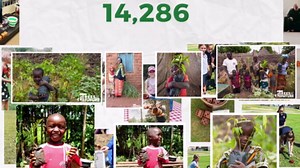 Swooc Games® - Yardzee, Farkle, & 20+ Giant Dice Games (All Weather) with Wood Bucket, 5 Scorecards, & Marker - Yard Dice Outdoor Game for Family - Giant Backyard Game Set - Outside Jumbo Lawn Fun