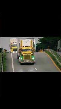 videos de mulas