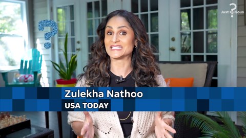 Facts about cicadas: How long do cicadas stay around?