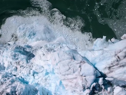 Why We Need to Save Earth | Spread Awareness and Protect Endangered Animals