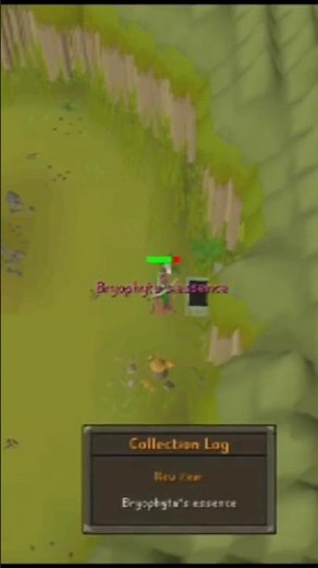 Bryophyta's essence drop