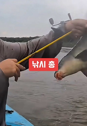 ☝️구매 : 행님쇼핑 > 링크 > 226번 | #낚시 #새총낚시 #낚시꾼 #낚시터 #바다낚시