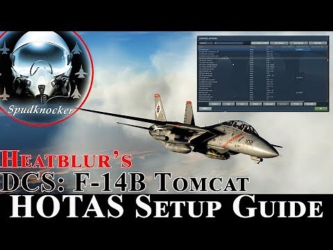 DCS: F-14B Tomcat | In Depth HOTAS Setup Guide!