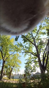 Relaxing outside listening to the Chimes of the church. 📣🐈