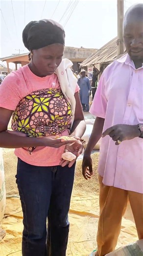 Tree gum,gum Arabic #tree #gum #trending