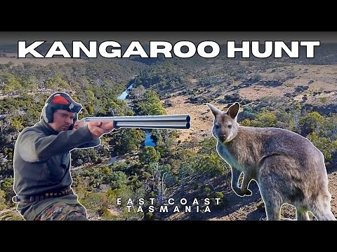 Kangaroo Hunting on Tasmania's East Coast