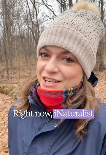 Volunteer for Nature: Help iNaturalist Sort Organisms