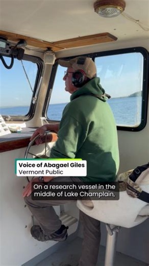25K views · 414 reactions | For the first time in decades, scientists are not going to stock Lake Champlain with hatchery lake trout. That's because wild fish are finally spawning and sustaining their populations again  Read the story: https://www.vermontpublic.org/local-news/2025-05-22/wild-lake-trout-populations-rebounded-lake-champlain-scientists-dont-know-why | Vermont Public | Facebook