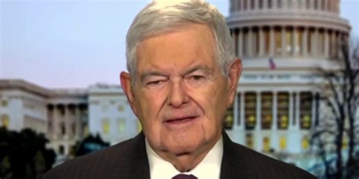 Newt Gingrich thinks Republicans can get an 'amazing amount done' if they work as a team