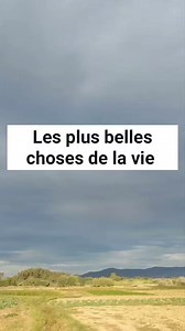 Les plus belles choses de la vie 💖 | Pensées Positives