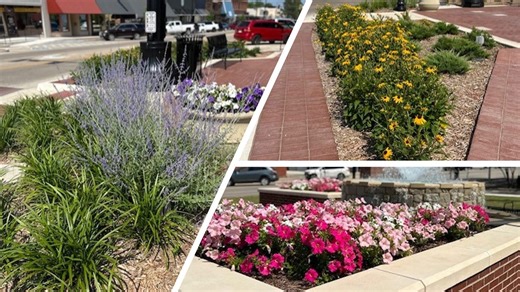 When Ada is in motion, we all AIM ahead together! When Council Member Yoli Vazquez thinks about Ada, she thinks about downtown! | City of Ada, OK – Government