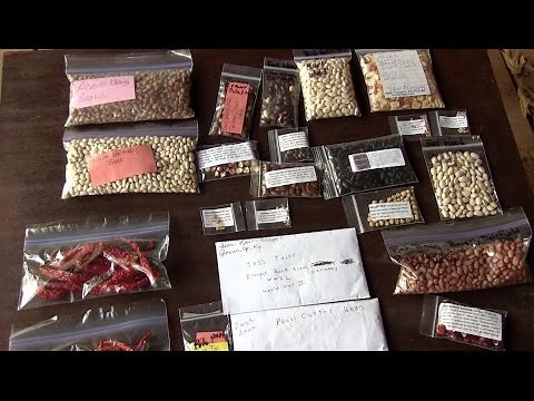 Heirloom Seeds (How to collect and store)