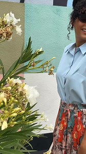 Ever wish your favorite clog could double as a chic sandal? Meet the Opal in Oat—a stain-resistant leather beauty with a padded sling-back and slip-resistant sole for effortless comfort, day or night. APMA approved, it’s designed to keep you moving in style without missing a beat. | Alegria Shoes