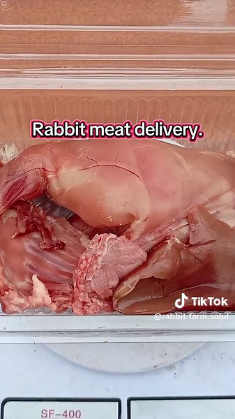 Fresh Rabbit Meat Delivery Service in Ruiru