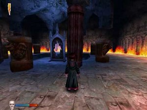 HP:Philosopher's Stone(PC)Final battle