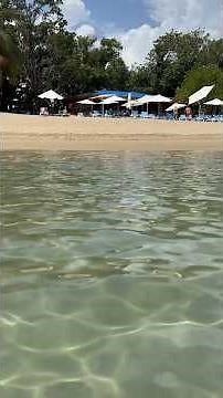 Ocean Breeze Beach Break - Puerto Plata, Dominican Republic- Playa Dorada- NCL Excursion - Norwegian